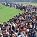 Мигранты на пути в Европу
