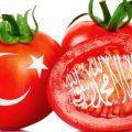 Турецкие помидоры