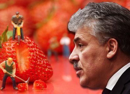 Грудинин - клубничный король