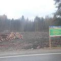 Вырубка леса в Подмосковье