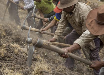 Труд перуанских крестьян