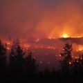 Лесные пожары в Челябинской области